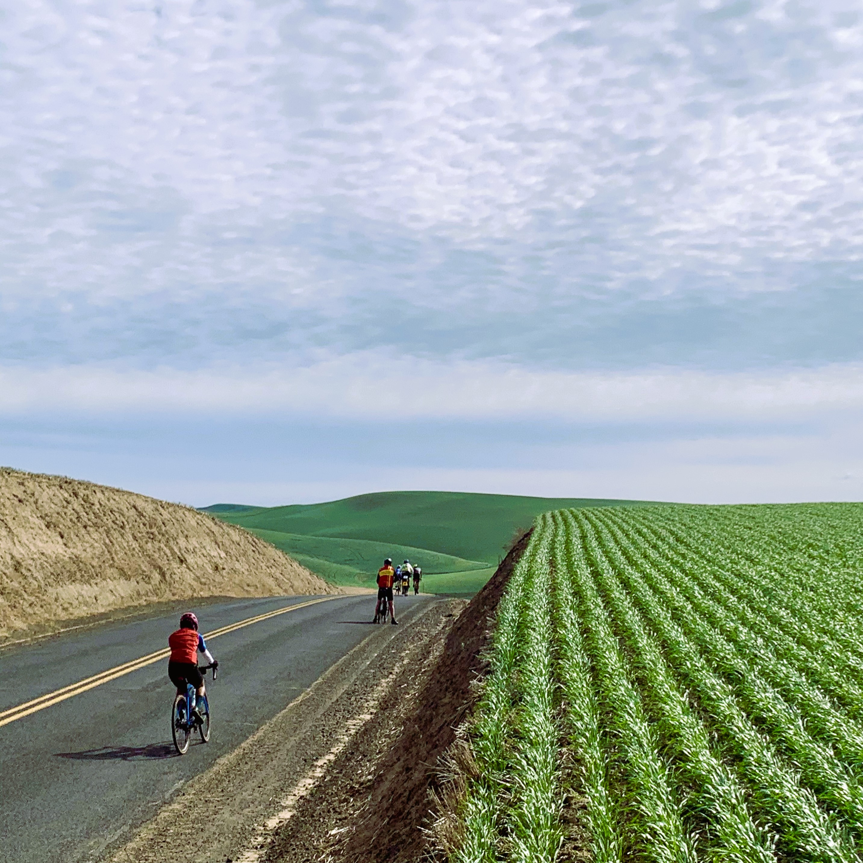 The foothills outside Walla Walla are a feast of colors