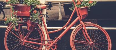 FlowerBox Bike