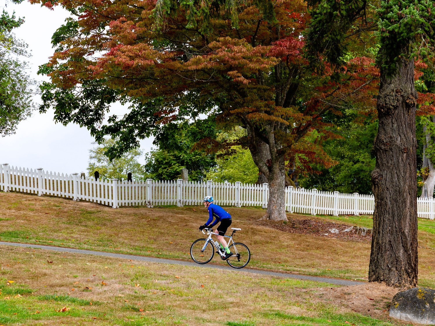 Go for a ride today!