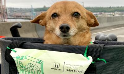 Sprout the wonder pooch!