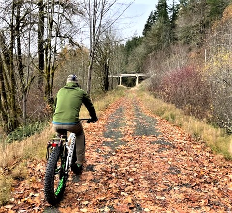 Fat biking on Willapa Hills Trail
