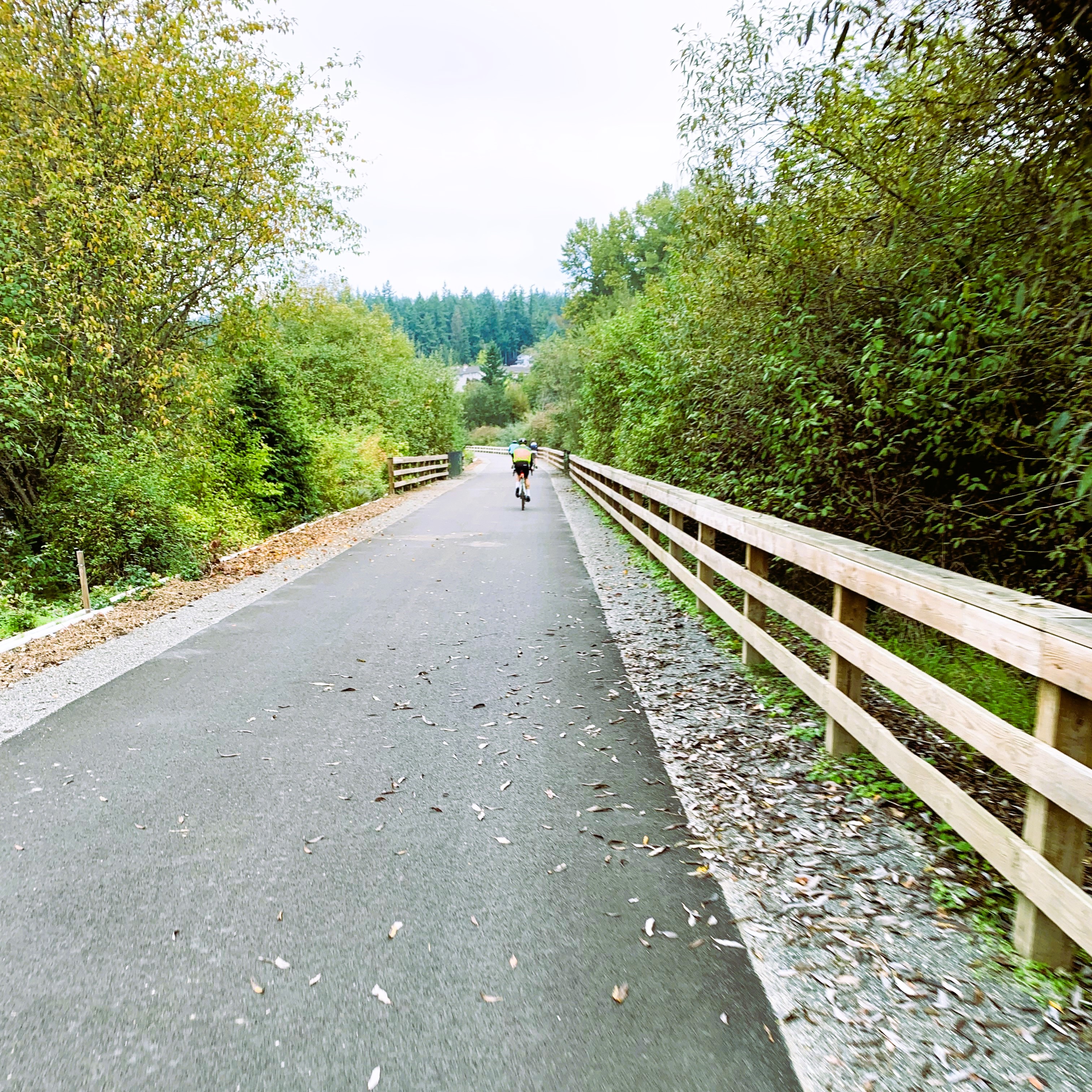 Smooth cycling on the East Lake Sammamish Trail