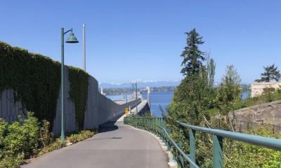 On the 520 trail