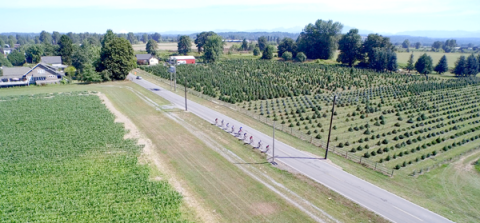 Bike ride in beautiful countryside.
