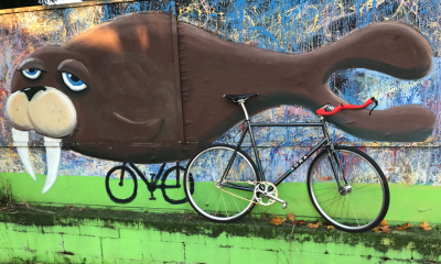 Walrus on bike